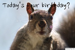 Today_s_your_birthday.thumb.jpg