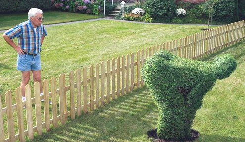 moon_shrub.jpg