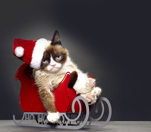 catchristmas.jpg