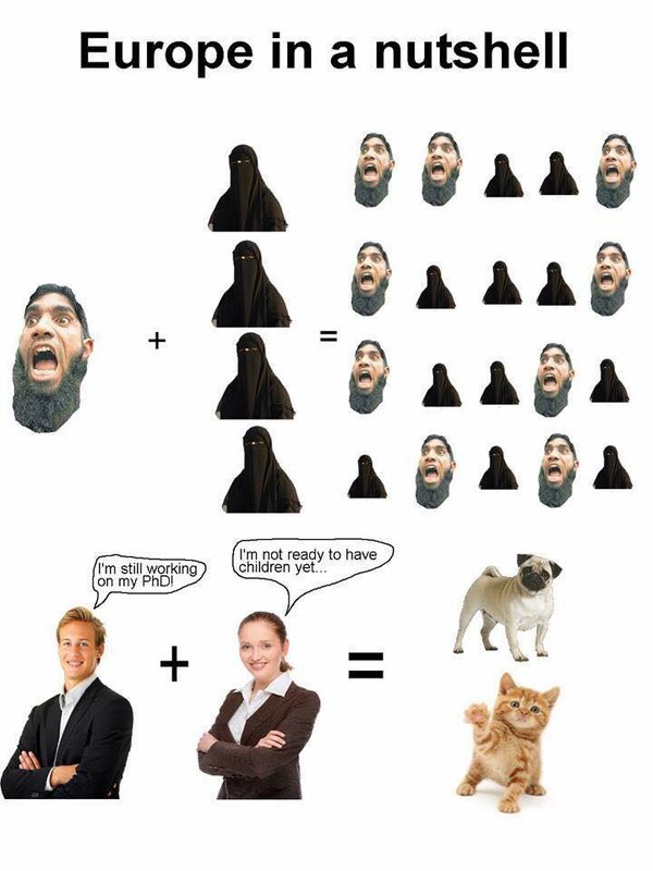 Europe-in-a-nutshell.jpg