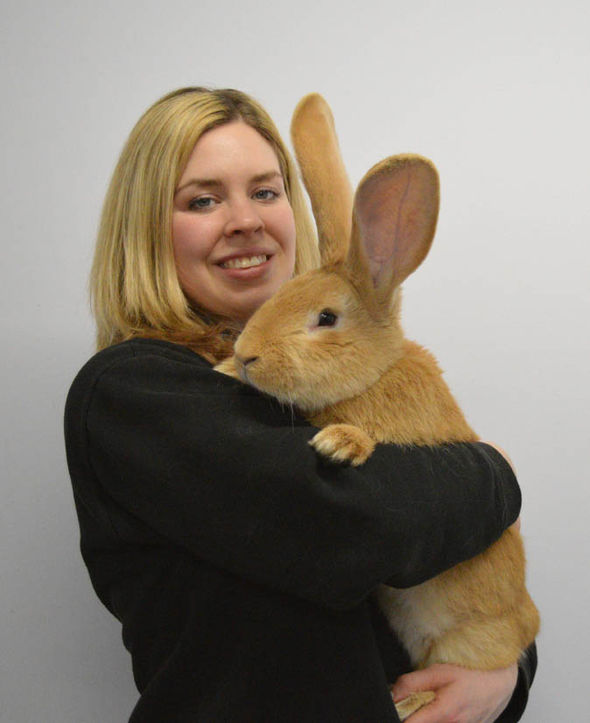 giant bunny.jpg
