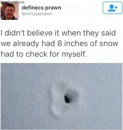 14th.jpg
