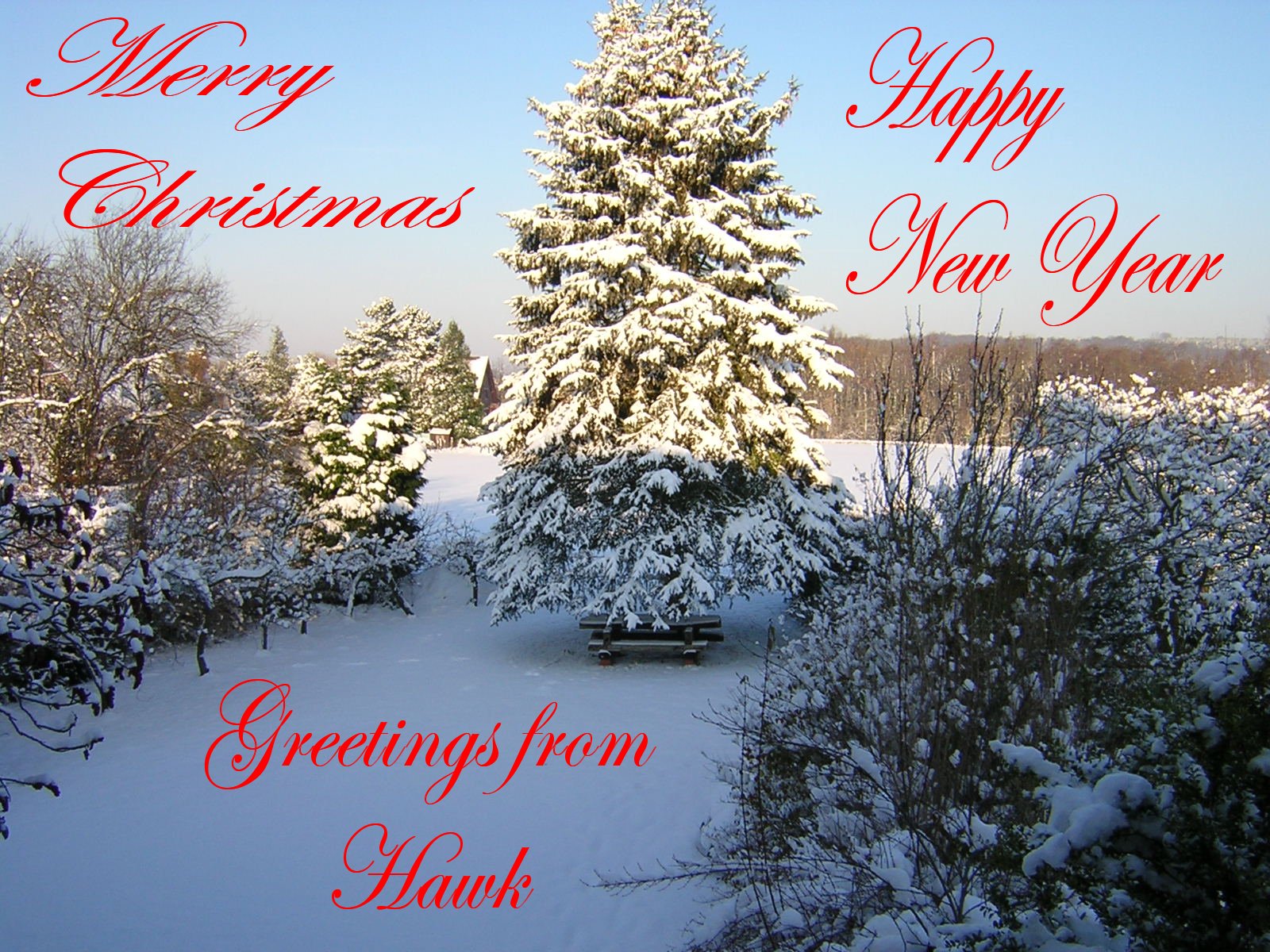 Merry Christmas.jpg