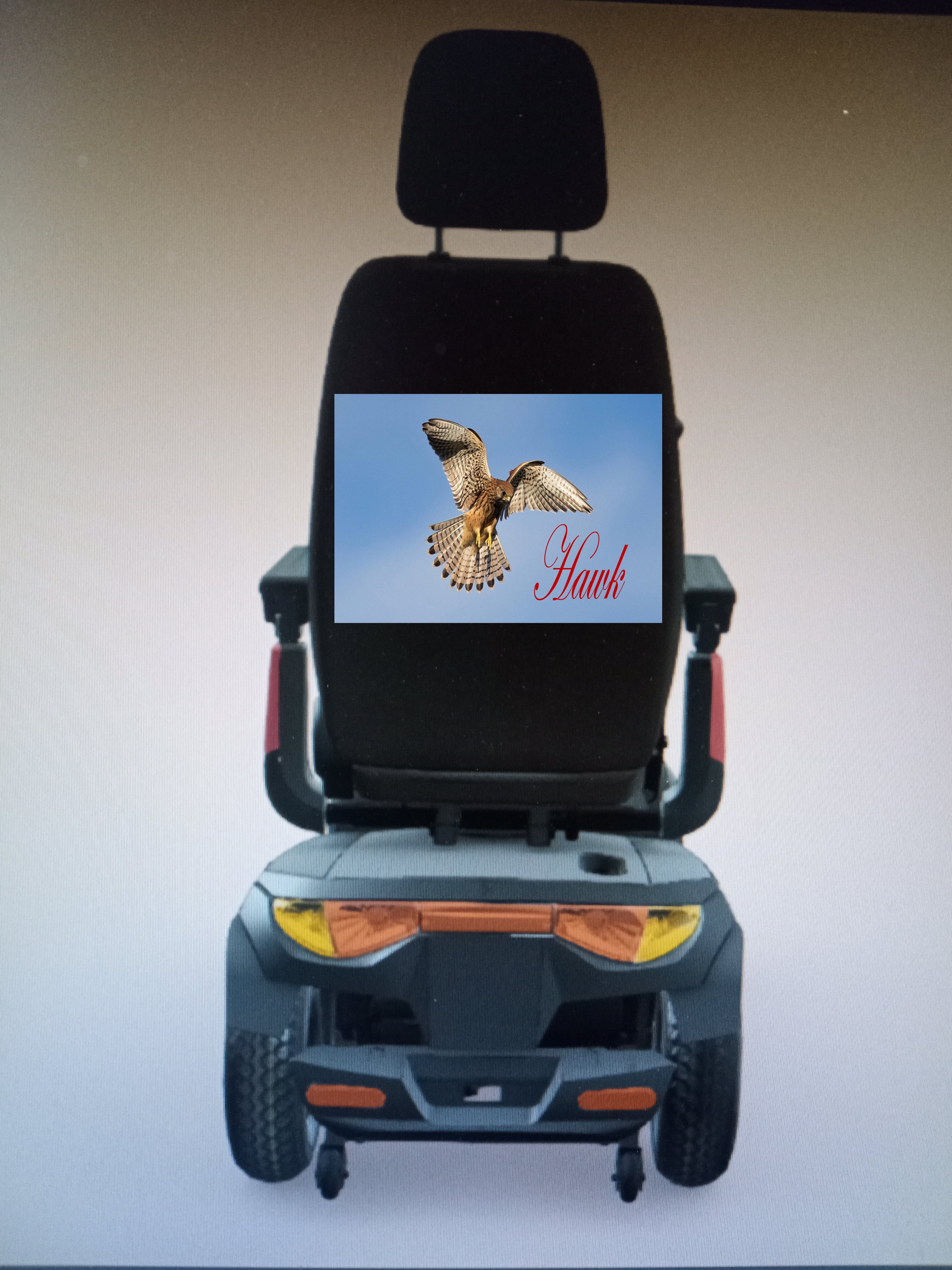 Scooter back pic hawk.jpg