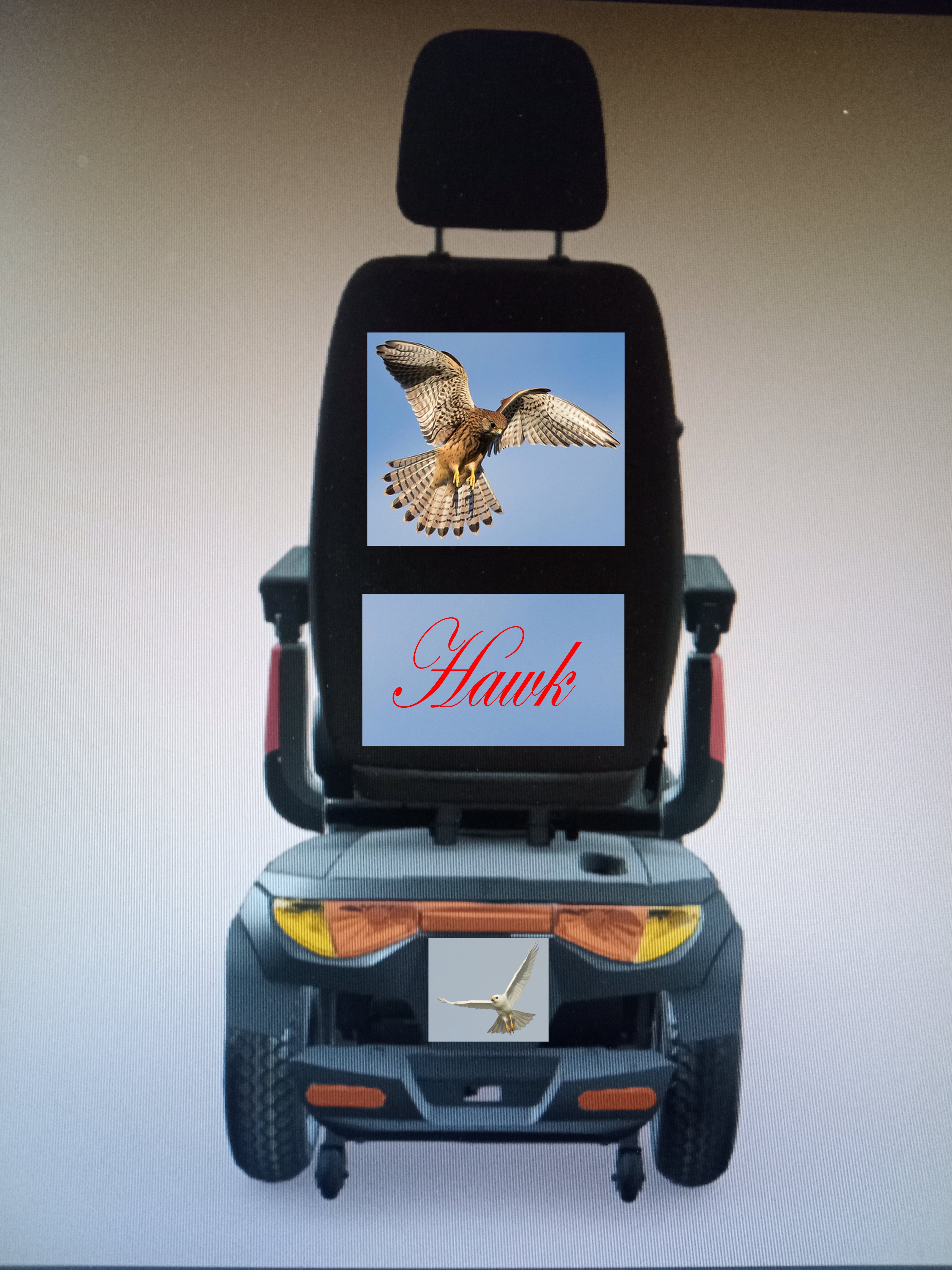 Scooter back pics.jpg