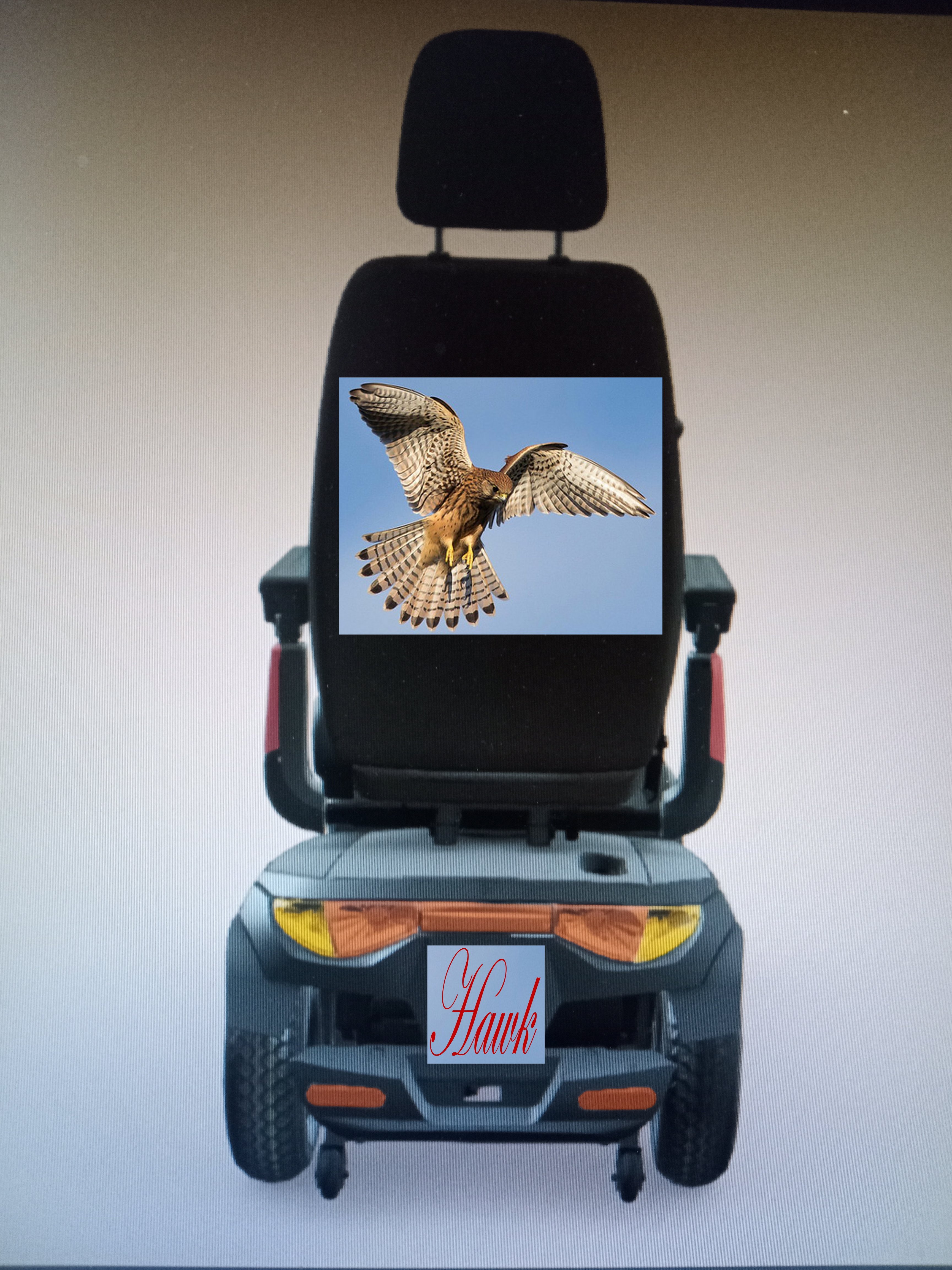 Scooter back new.jpg