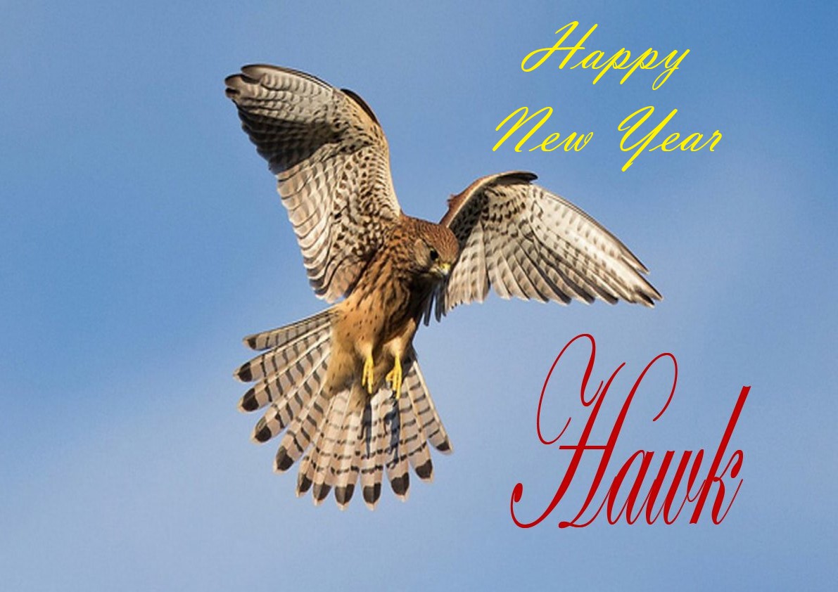 Happy New Year.jpg