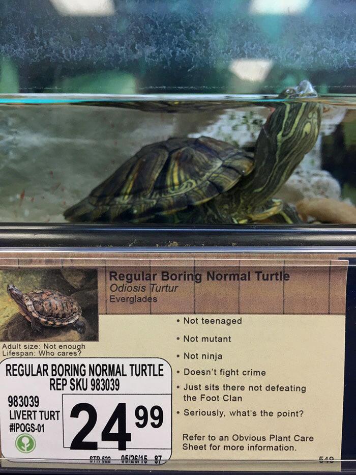 Source: http://i.imgur.com/TxBeVFU.jpg