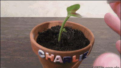 Source: http://38.media.tumblr.com/6dbf26b11a0fe73a34645b8a057ac7c2/tumblr_neu59ryLkz1s373hwo1_400.gif