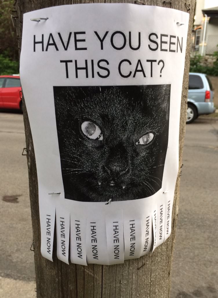 FPTP_2018_03_cursed-cat-flyer.jpg