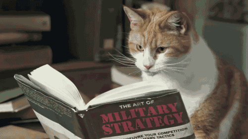 FPTP_2018_06_cat-strategist.gif