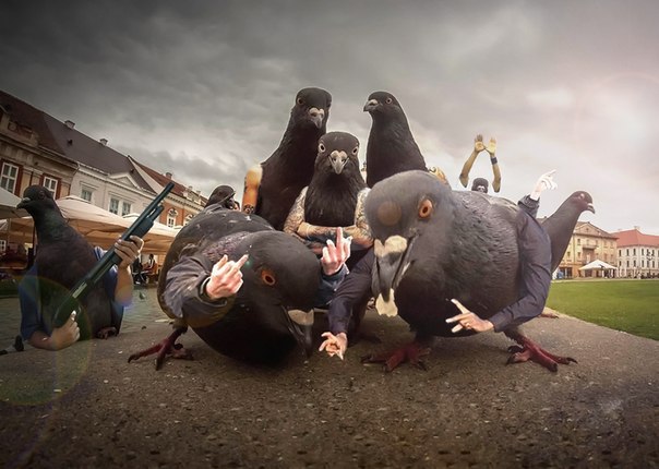 FPTP_2018_07_birdie-boys-album-cover.jpg