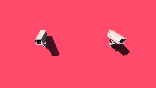 FPTP_2018_12_camera-shy.gif