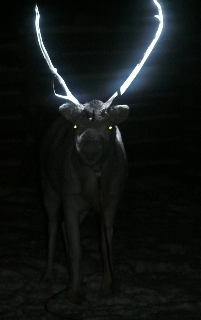 FPTP_2020_09_deer-headlights.jpg