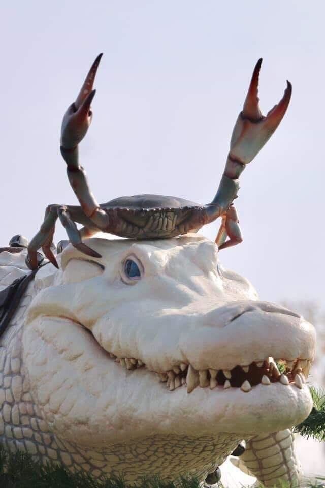 FPTP_2021_18_crab-croc-crush.jpg