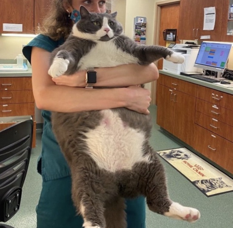 FPTP_2022_06_anti-chonking-maneuver.jpg