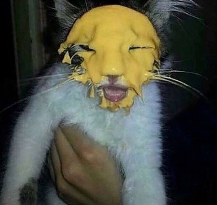 FPTP_2022_08_cheeseshire-cat.jpg