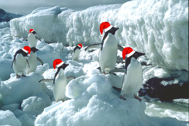 christmas_penguins.jpg