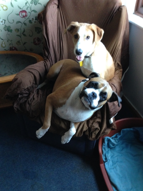 joy and frank 2.jpg