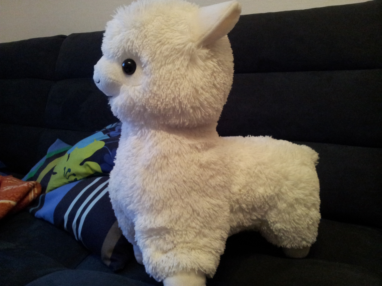 20140330_193832.jpg