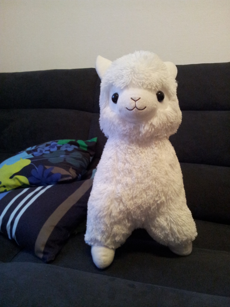 20140330_193820.jpg