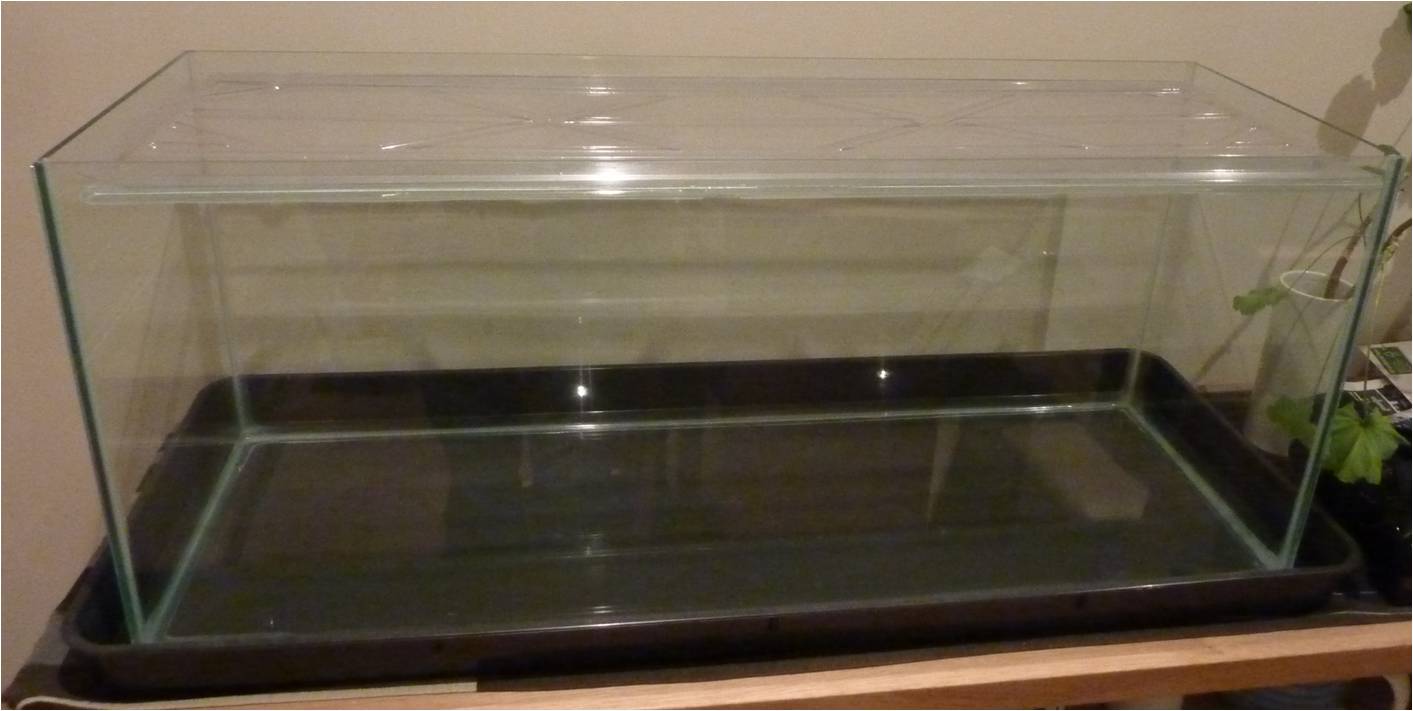Fishtank.jpg