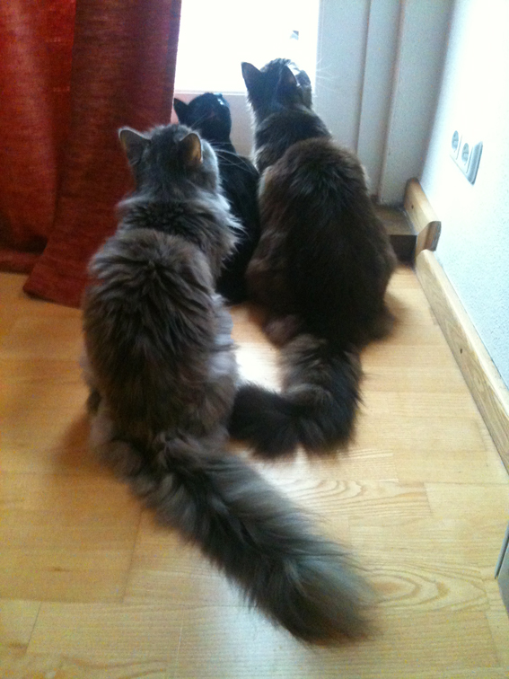 threesome