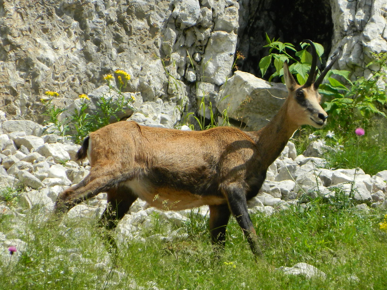 DSCN8569 .jpg