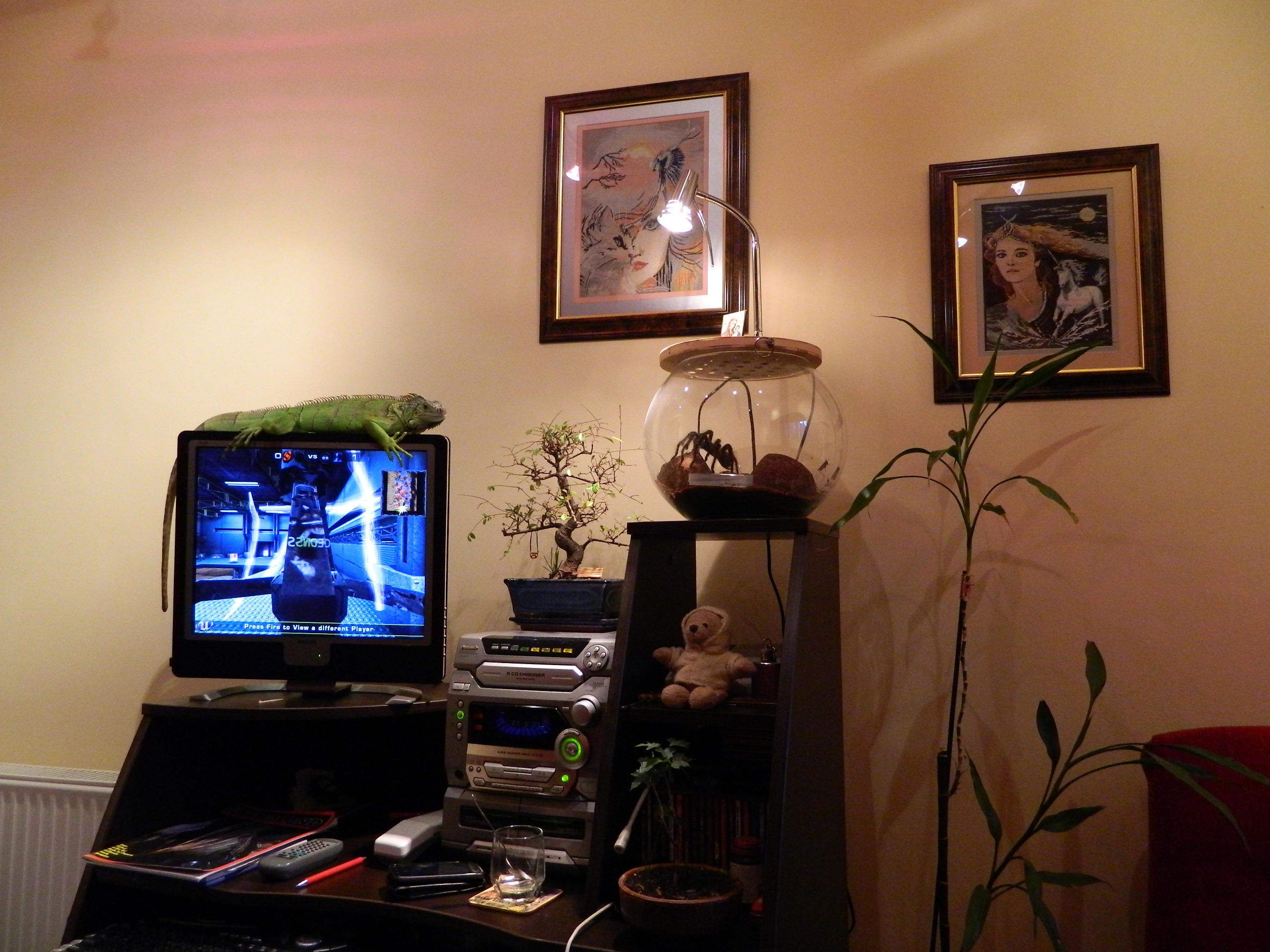 DSCN8714.JPG